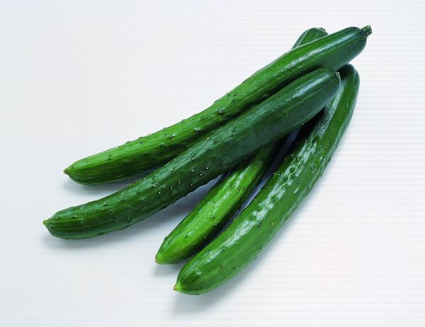 郑州生殖器疱疹的危害都有哪些